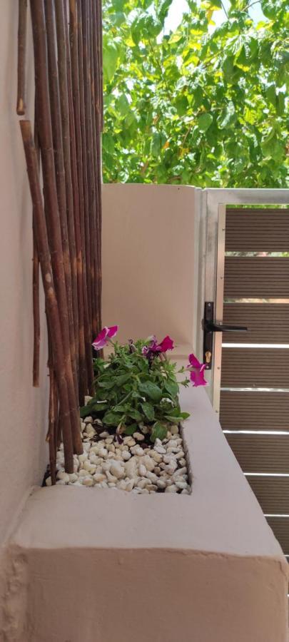 חאניה New Apartment 1.5Km From The City Center Of Chania מראה חיצוני תמונה